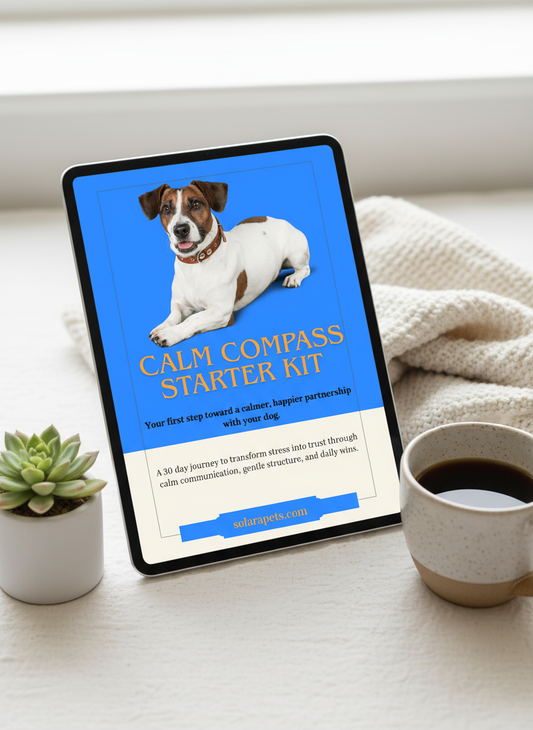 30-Day Calm Dog Training Program